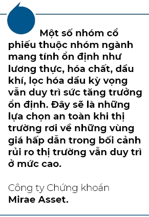 Co hoi se xuat hien ro net hon o nhung nhip dieu chinh