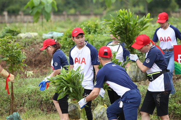 Hơn 23.000 cây xanh AIA Việt Nam đã được AIA trồng mới trong chương trình “Vì Một Hành Tinh Xanh”