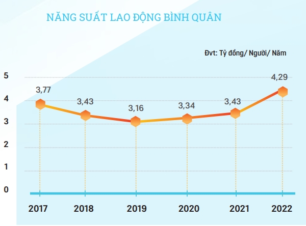 Nguồn: BMP