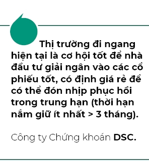 Thi truong di ngang van khong thieu co hoi dau tu sinh loi