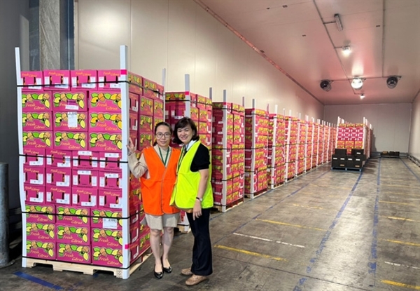 Vietnamese business group visits Ontario Group's citrus orchard. Photo: TIQ