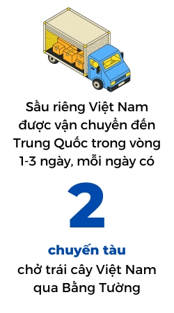 Trung Quoc nhap khau gan 1 trieu tan sau rieng Viet Nam 1 nam