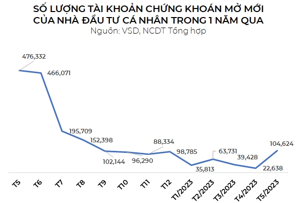 Nha dau tu ca nhan tro lai, so tai khoan chung khoan moi vuot moc 100.000