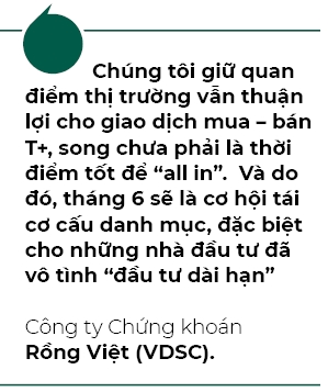 Da den luc nha dau tu 