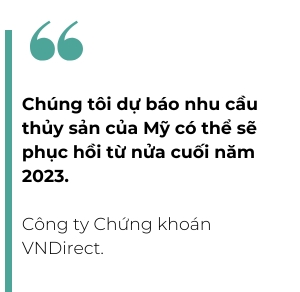 Nua cuoi nam 2023, ky vong su phuc hoi nhu cau thuy san tu My