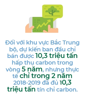 Viet Nam se thu duoc 200 trieu USD/nam nho muc hap thu carbon cua rung