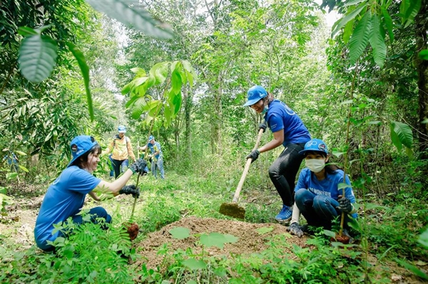 Mỗi năm cả nước cần đầu tư 11.000 tỉ đồng để phát triển rừng. Ảnh: Gaia