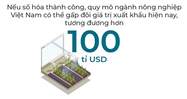 Rong duong agritech Viet Nam