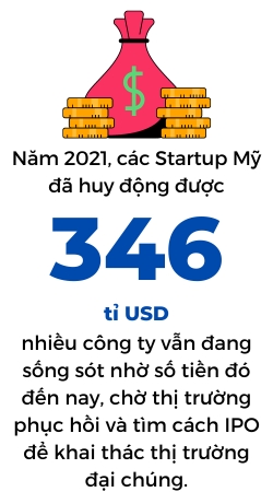 Dong von nho giot, startup My 