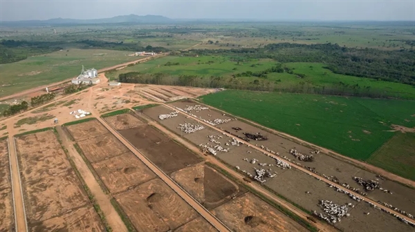 Một trang trại ở Marabá, bang Pará. Ảnh: Bloomberg.