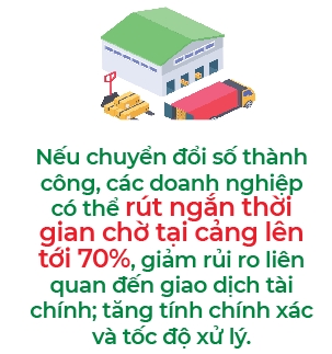 Vuong co so ha tang, doanh nghiep logistics kho chuyen doi so