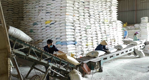 Xuất khẩu gạo sang Đài Loan tăng 142%, Senegal tăng 1.147%, Chile tăng 4.120%, Thổ Nhĩ Kỳ tăng 15.972%... 