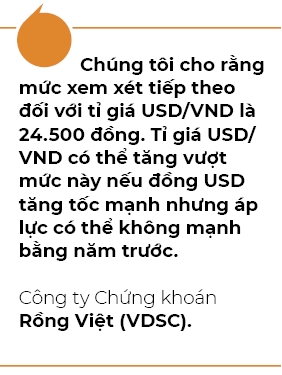 VDSC: Than trong voi rui ro mat gia tien dong trong nua cuoi nam 2023