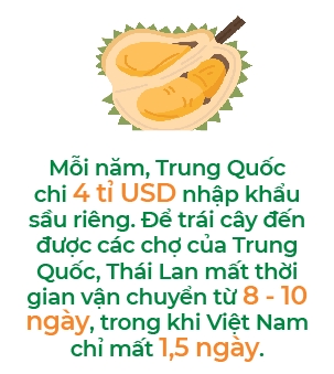 Xuat khau rau qua se mang ve 5 ti USD trong nam nay