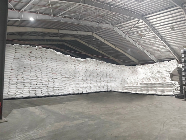 Công ty APFCO lưu trữ tinh bột sắn số lượng lớn tại cảng Chu Lai trước khi xuất khẩu