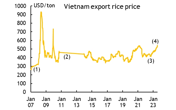 Giá xuất khẩu gạo của Việt Nam lập kỷ lục sau năm 2008 do Ấn Độ áp đặt một loạt hạn chế đối với xuất khẩu gạo của nước này