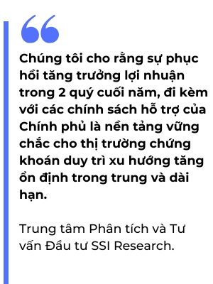 Nhieu tro luc cho thi truong chung khoan nua cuoi nam