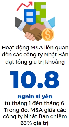 M&A giua cac cong ty Nhat Ban tang vot 80%