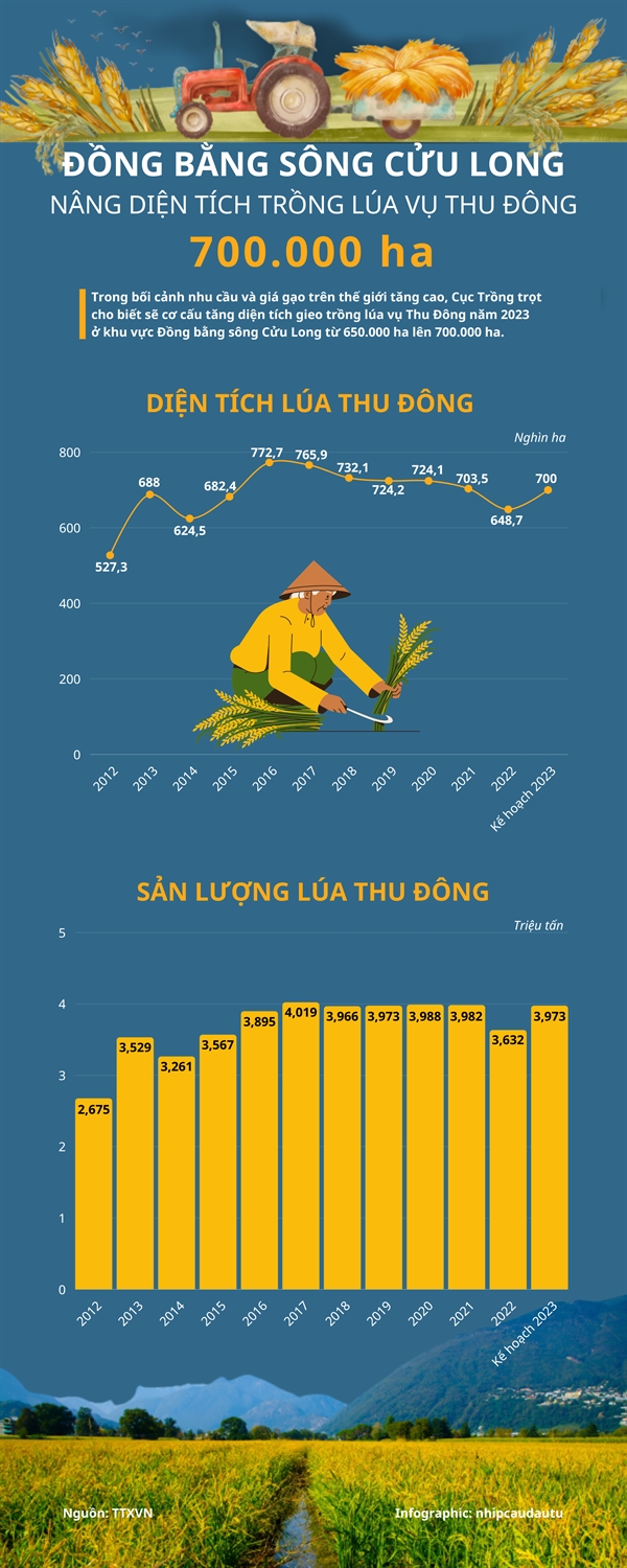 Dong bang song Cuu Long nang dien tich trong lua vu Thu Dong len 700.000 ha