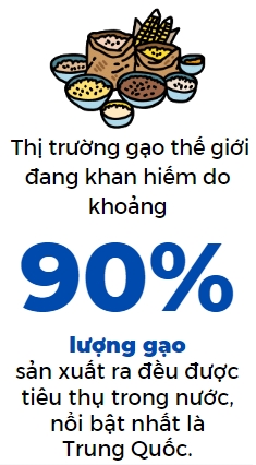 Lenh cam xuat khau gao cua An Do co that su can thiet?