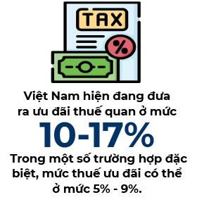 Loi the ve uu dai thue dan bien mat, chinh sach cua Viet Nam se ra sao?