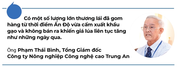 Tranh bay gia gao