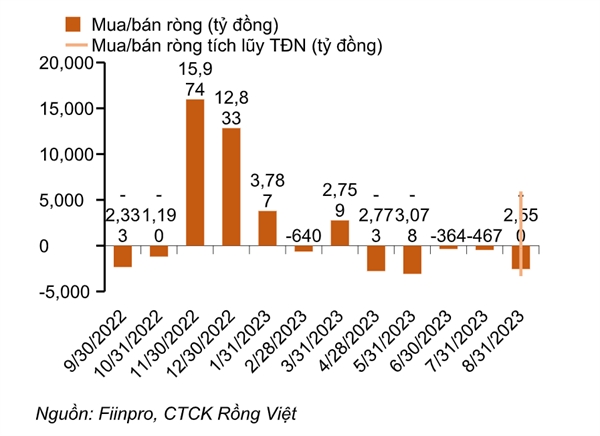 Mua/bán ròng hàng tháng của nhà đầu tư cá nhân trong nước trên HOSE.