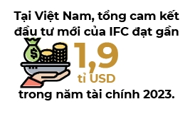 IFC uu tien ho tro tao viec lam va thuc day thuong mai o Viet Nam