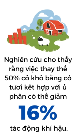 Mot que kem ben vung den muc nao?