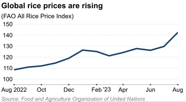 Giá gạo toàn cầu vẫn tăng đều. Ảnh: Nikkei Asia.