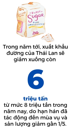 Thai Lan han che xuat khau duong de kiem soat lam phat