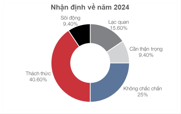 Đa số nhận định thận trọng về năm 2024. Nguồn: CEL