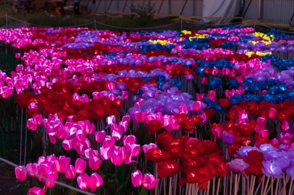 Vườn Ánh Sáng tại Thung lũng Tình yêu bao gồm 22 tác phẩm ánh sáng khổng lồ, cao đến 10 m và được đầu tư bằng hệ thống đèn LED công nghệ cao. 