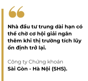 Tan dung nhip dieu chinh de gia tang ti trong