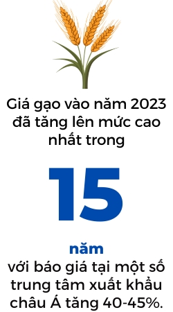 Nguon cung luong thuc toan cau se van cang thang vao nam 2024