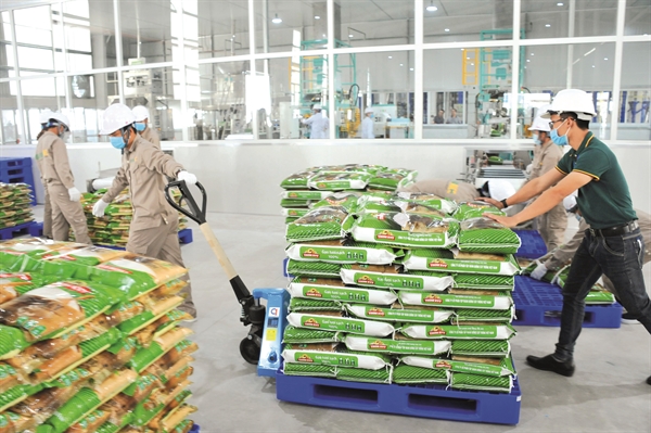 Sản phẩm gạo của Tập đoàn PAN đang được xuất khẩu với giá hơn 1.000 USD/tấn.