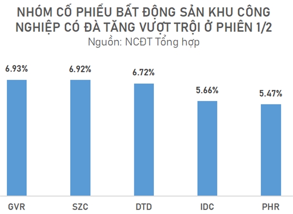 Nhieu co phieu tang gia vuot troi, nha dau tu han che mua duoi