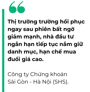 Nhieu co phieu tang gia vuot troi, nha dau tu han che mua duoi