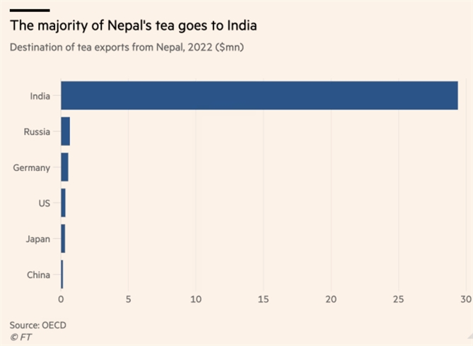 Phần lớn trà Nepal đã cập bến Ấn Độ trong năm 2022. Ảnh: FT.