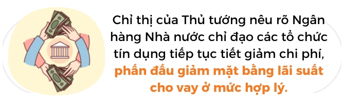 Thu tuong chi thi ngan hang tiet giam chi phi, phan dau giam mat bang lai suat cho vay