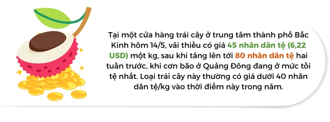 Nong dan Trung Quoc that thoat 4 ti USD vi vai thieu mat mua
