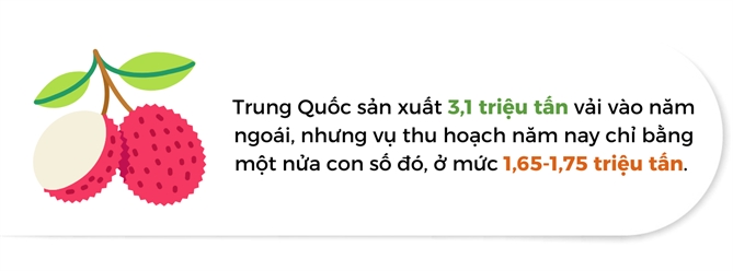 Nong dan Trung Quoc that thoat 4 ti USD vi vai thieu mat mua