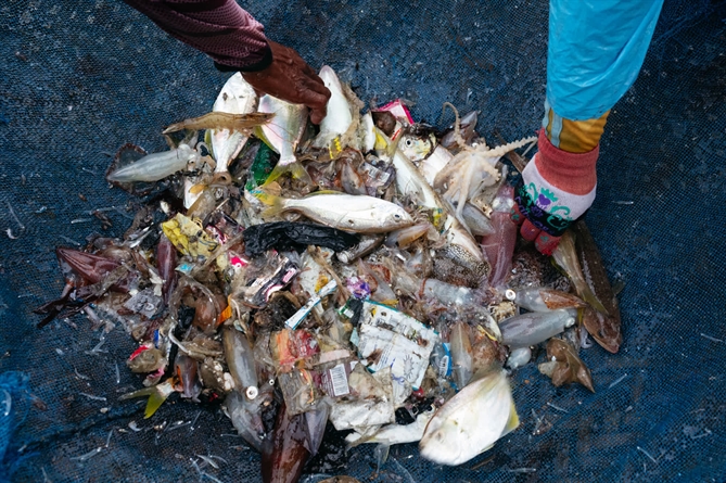 Ngư dân tách cá ra khỏi rác thải nhựa thu được trong lưới của họ. Việc tách nhựa và phân loại sản phẩm đánh bắt được là một công việc ngày càng tốn nhiều công sức khi lượng chất thải ngày càng tăng.