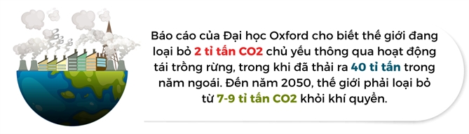 Viec loai bo carbon can tang gap 4 lan de dap ung cac muc tieu ve khi hau