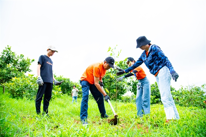 Các tình nguyện viên tham gia chuyến đi trồng rừng vào ngày 22/06 vừa qua