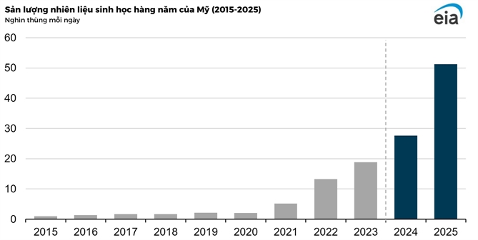 Nhien lieu hang khong ben vung tai My tang 1.400%