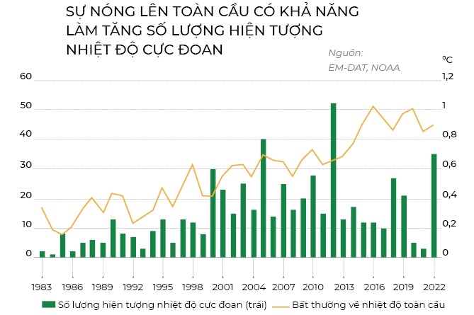 Ca phe “lam nguy” & chong bien doi khi hau