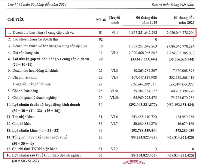 Kết quả kinh doanh 6 tháng đầu năm của Đạm Hà Bắc.