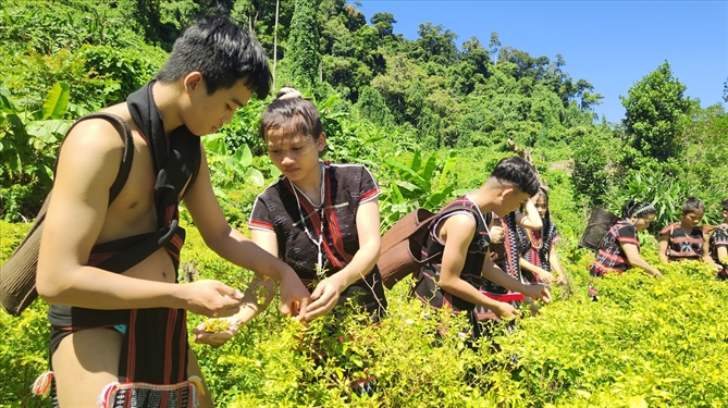 Lan dau tien Viet Nam co Le hoi ot