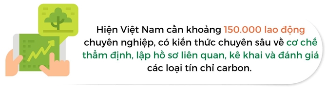 Viet Nam can hang tram ngan nhan luc cho thi truong tin chi carbon